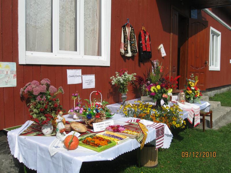 Рідне село - Раневичі