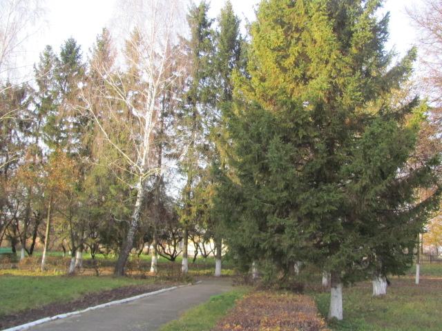 Вілія The best - Вілія