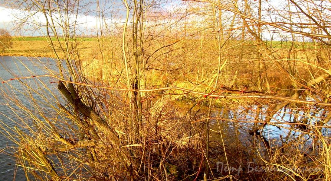 Ивчанские этюды - Ivcha