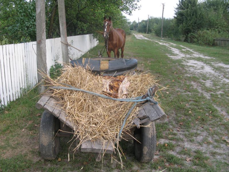 Польське село в Поліссі - Станиславовка