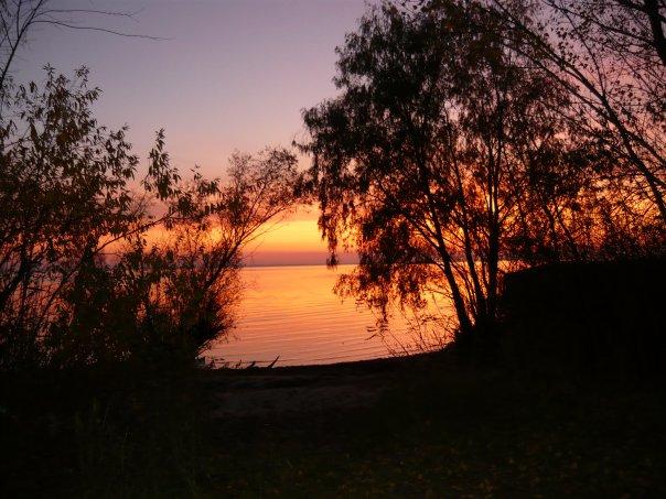 Родное село - Москаленки