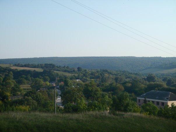 Шустівці - Шустівці