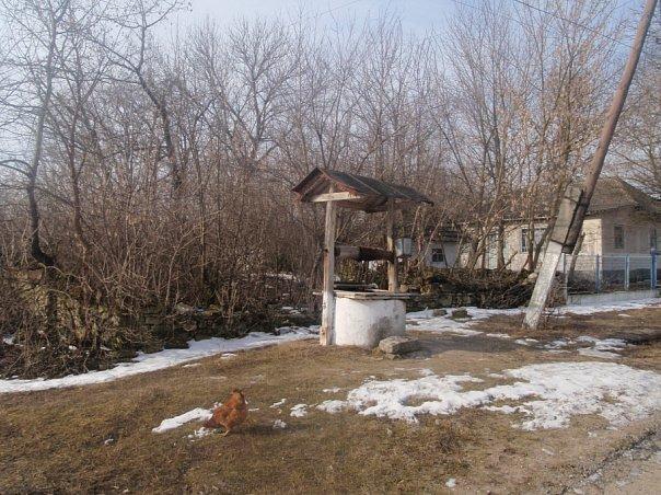 Шустівці - Shustivtsi