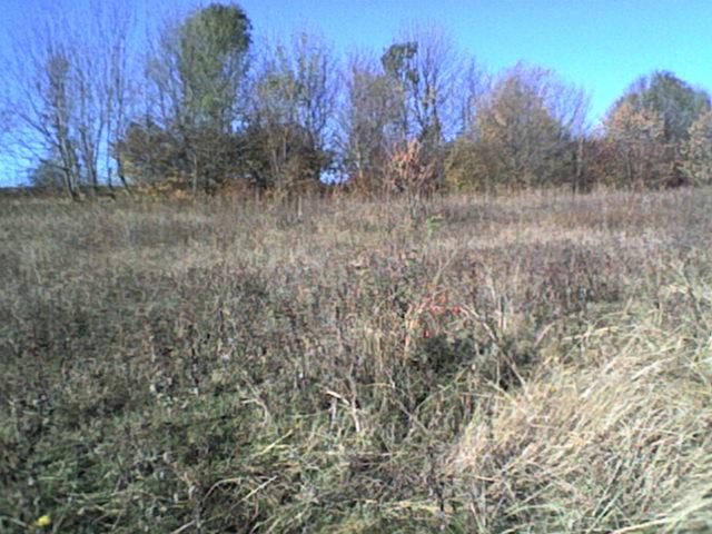 РІДНЕ СЕЛО - Bolgan