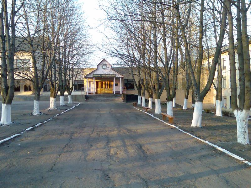 Венди - Вендичани