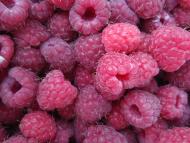 Краєвиди та життя Нової Басані