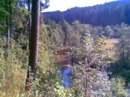 Жупанська осінь