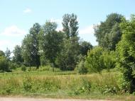 Краєвиди та життя Нової Басані