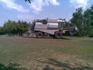 село Великие Хутора