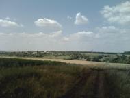 село Софиевка