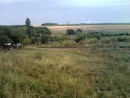 село Софиевка