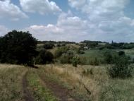 село Софиевка