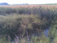 село Великие Хутора