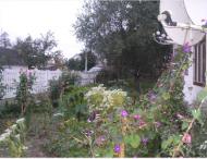 Сновидовичі