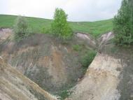 Старий Тараж