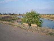 родное СЕЛО