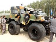 Дзвинячка - Останні фото