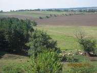 Просторы Цибулевки и Литовчуки