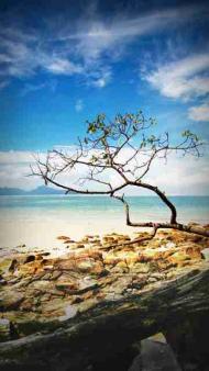 ТИ І Я - А РАЗОМ СІМ'Я