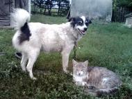 село Софиевка