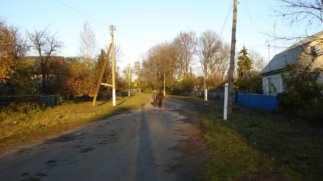родительский дом,начало начал.... - Лажева