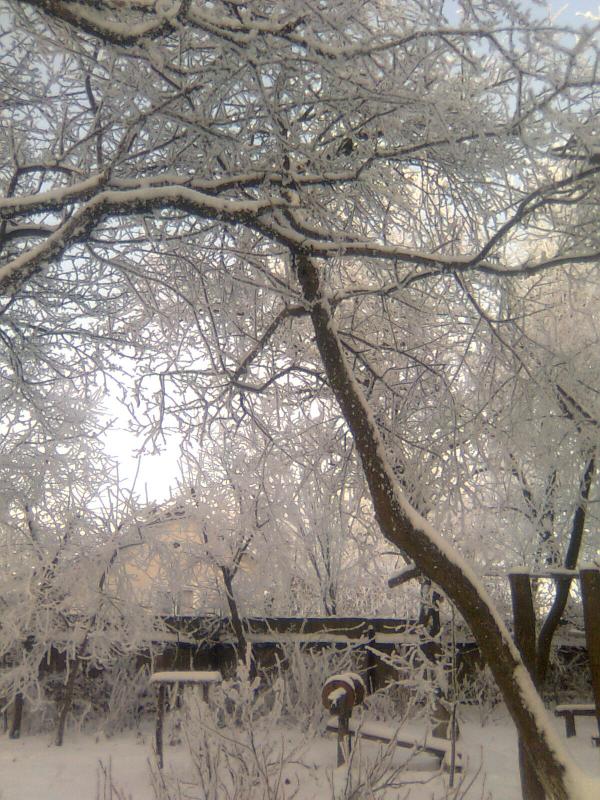 Зима - Боянець