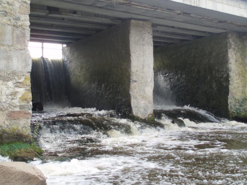 Теліженці - Теліжинці