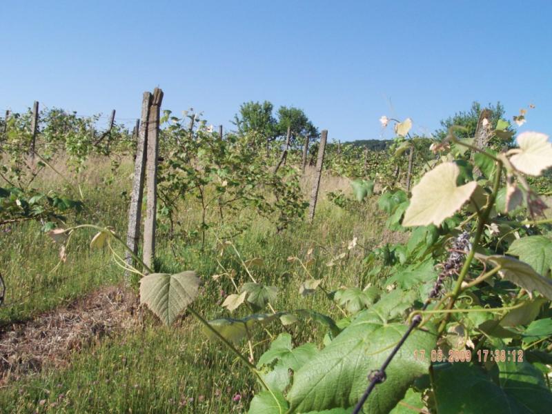 Завидово - Завидово