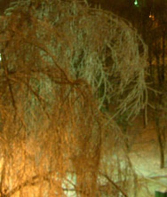 Моя Родина - Новоахтырка