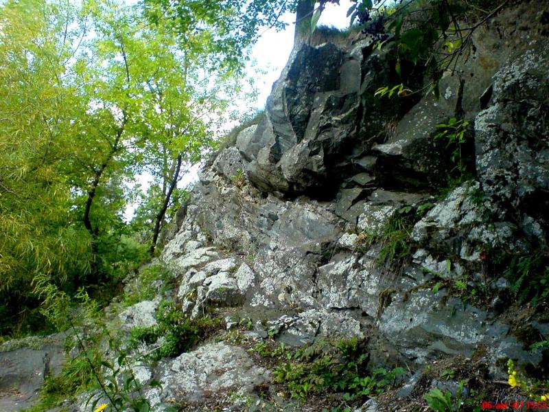 Night Alex - Гопчиця