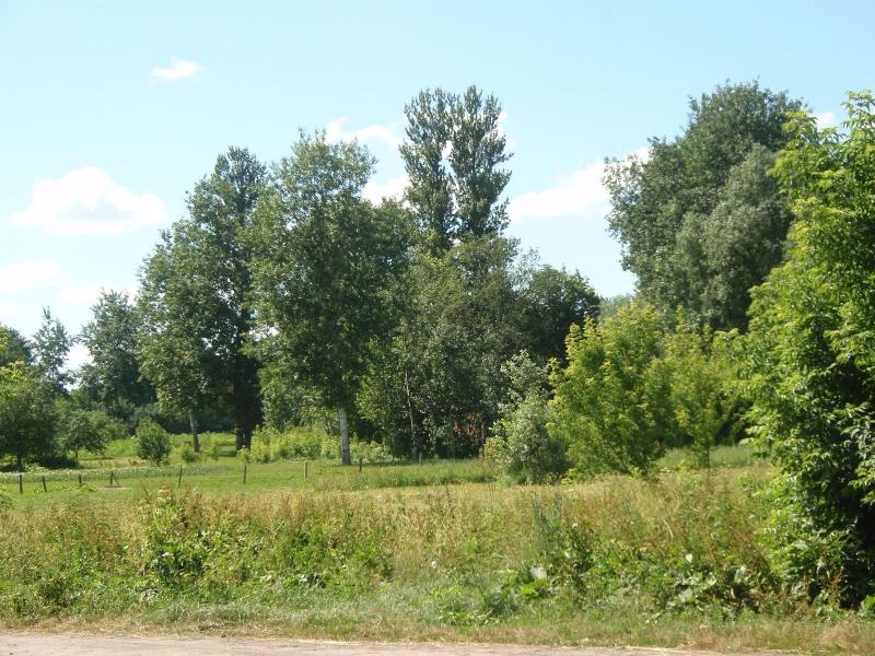 Краєвиди та життя Нової Басані - Нова Басань