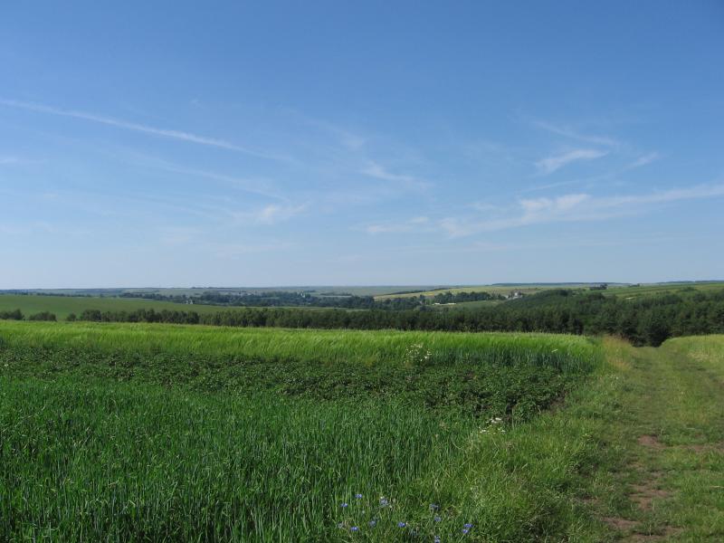 світ навколо нас - Чайчинці