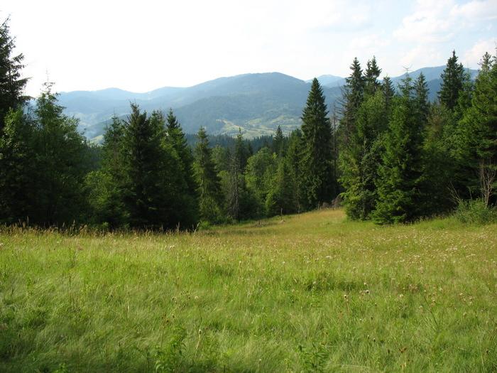 Село і околиці - Козьова