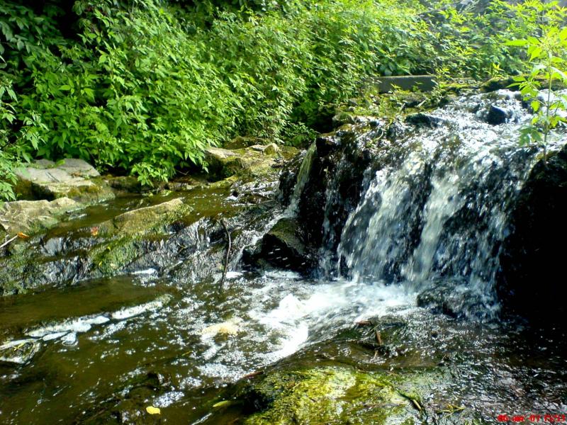 Night Alex - Гопчиця