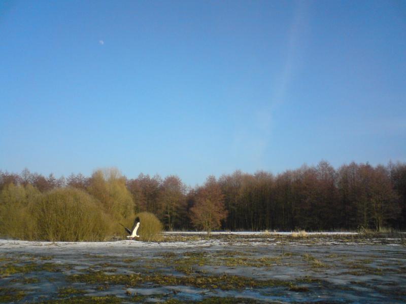 фото - Нижній Іржавець