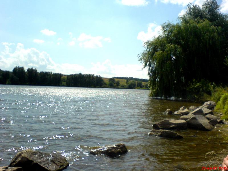 Night Alex - Гопчиця