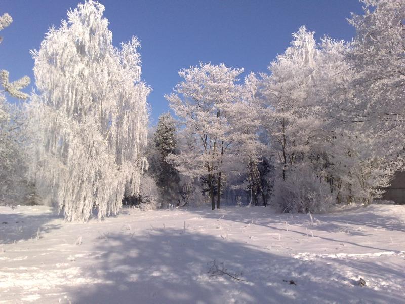 ___________________________ - Боянець