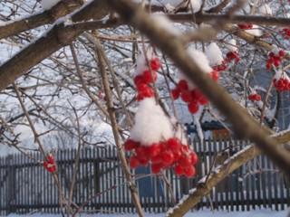 Зимова казка - Скобичевка