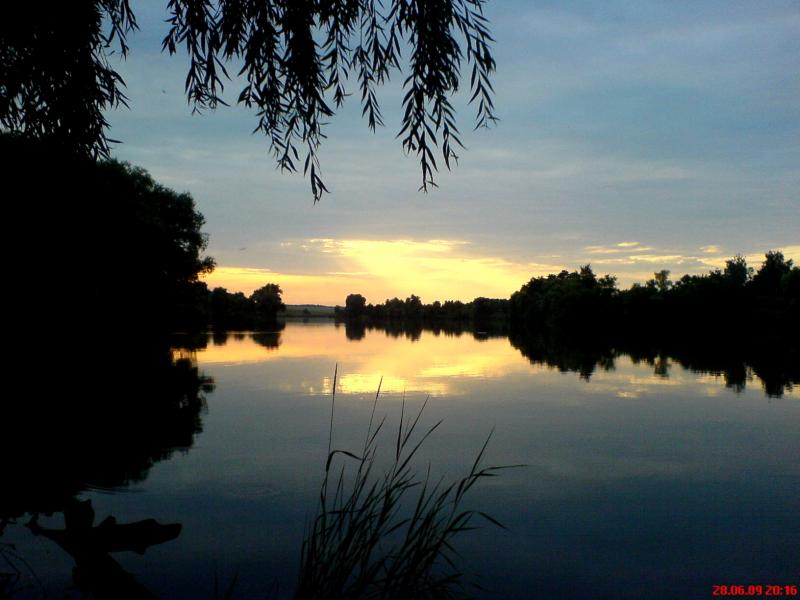 Night Alex - Гопчиця