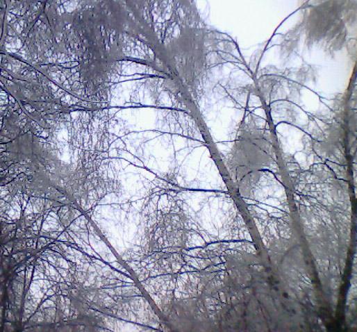 Моя Родина - Новоахтырка