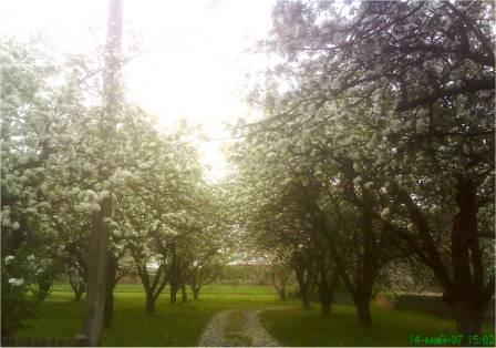 Мальовнича Піщаниця - Піщаниця