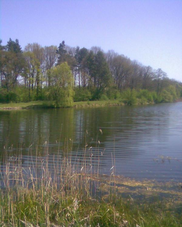 Природа Плужного - Плужне