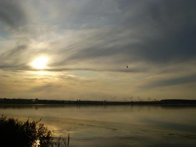 Форнош. - Форнош