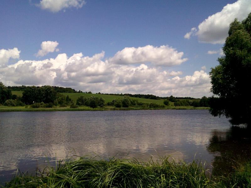 Night Alex - Гопчиця