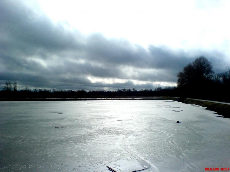 Night Alex - Гопчиця