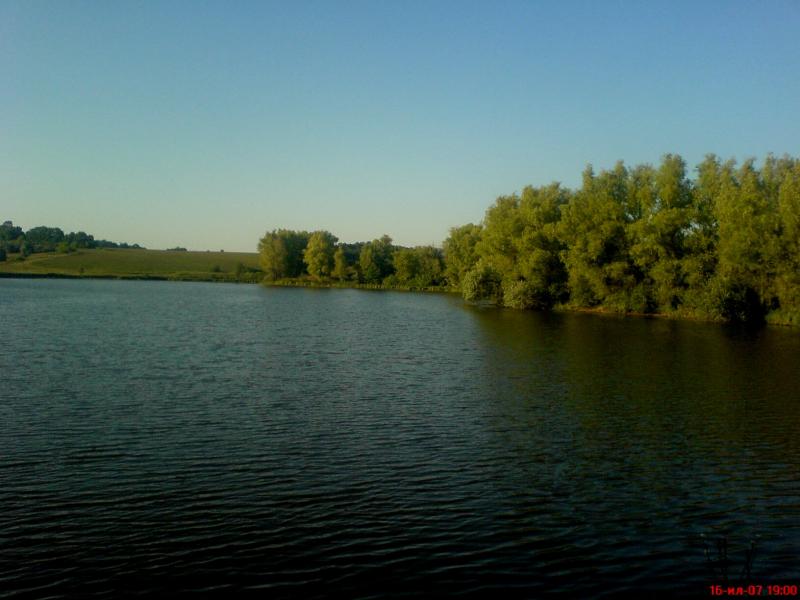 Night Alex - Гопчиця