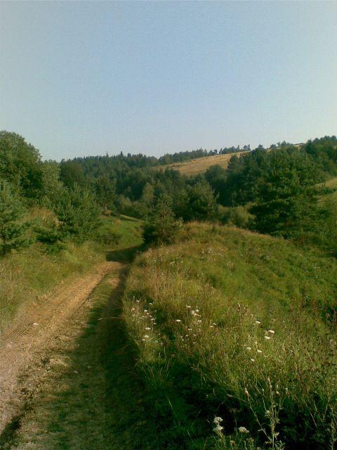 Наші фото - Волошиново