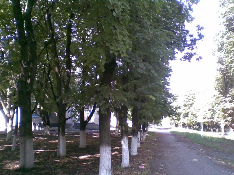 село Великие Хутора - Великі Хутори