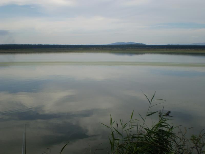 Форнош. - Форнош