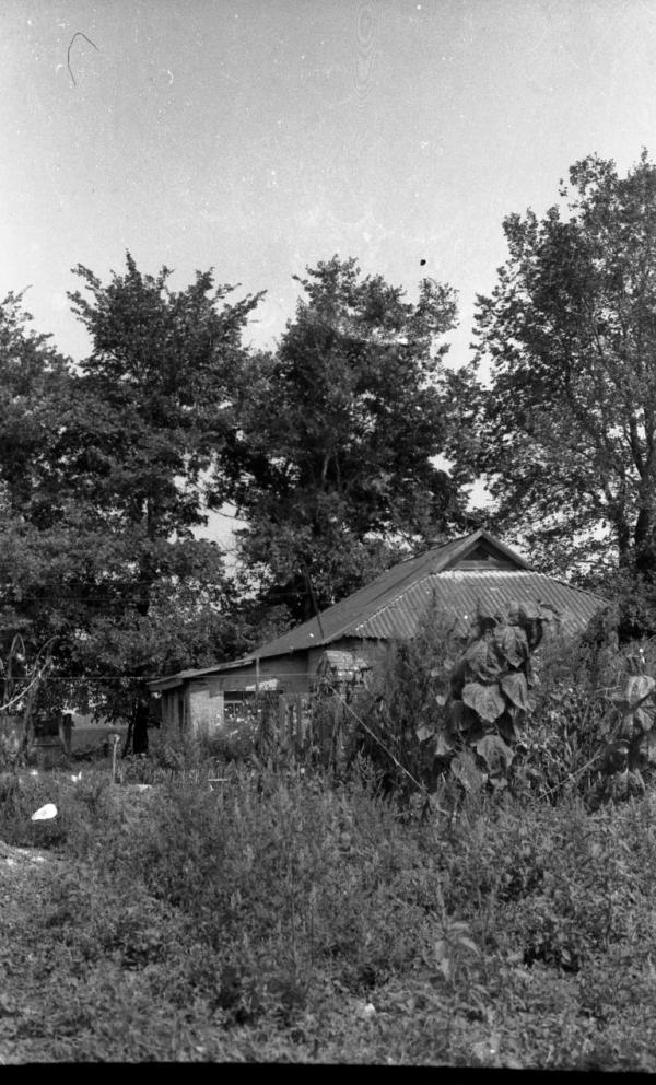 Село і околиці - Новоселівка